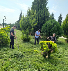 Tərtər şəhəri ərazisində iməclik aksiyası keçirilib