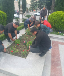 Tərtərdə “Konstitusiya və Suverenlik İli” çərçivəsində Ulu Öndərin anadan olmasının 102-ci ildönümü ilə əlaqədar gül-çiçək kolları əkilib