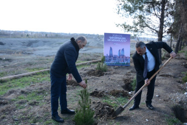 Tərtərdə “Şəhərsalma və Memarlıq İli” çərçivəsində növbəti ağacəkmə aksiyası keçirilib