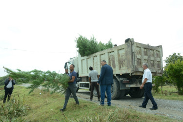 Tərtərdə "Yaşıl dünya naminə həmrəylik ili" çərçivəsində növbəti ağacəkmə aksiyası Poladlı kəndi ərazisində keçirilib