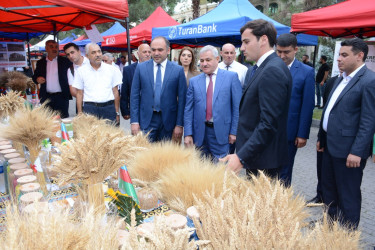 Tərtər rayonunda toxum sərgi-satış yarmarkası və Aqrar Biznes Festivalı keçirilib