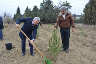 Tərtərdə “Konstitusiya və Suverenlik İli” çərçivəsində Ümummilli Lider Heydər Əliyevin anım günü ilə əlaqədar ağacəkmə aksiyası keçirilib
