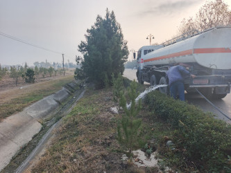 Tərtər şəhəri ərazisində növbəti iməclik aksiyası keçirilib