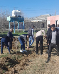 Tərtərdə "Yaşıl dünya naminə həmrəylik ili" çərçivəsində növbəti ağacəkmə aksiyası Borsunlu kəndi ərazisində keçirilib