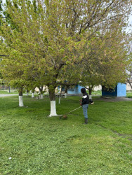 Əskipara kəndində abadlıq və təmizlik işləri görülüb