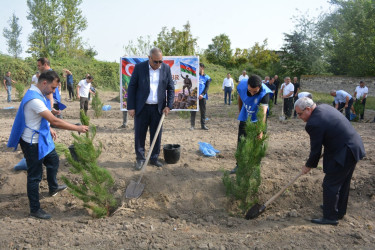 Tərtərdə “Şəhərsalma və Memarlıq İli” çərçivəsində 27 sentyabr Anım gününün altıncı ildönümü ilə əlaqədar ağacəkmə aksiyası keçirilib