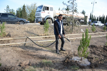 Tərtərdə “Konstitusiya və Suverenlik İli” çərçivəsində 8 Noyabr Zəfər Gününün beşinci ildönümü ilə əlaqədar növbəti ağacəkmə aksiyası keçirilib