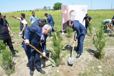 Tərtərdə “Konstitusiya və Suverenlik İli” çərçivəsində Ulu Öndərin anadan olmasının 102-ci ildönümü ilə əlaqədar  ağacəkmə aksiyası keçirilib