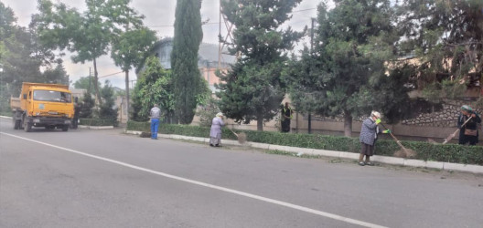 Tərtər şəhəri ərazisində iməclik aksiyası keçirilib