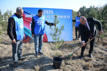 Tərtərdə Yeni Azərbaycan Partiyasının təsis edilməsinin 33-cü ildönümü münasibətilə ağacəkmə aksiyası keçirilib