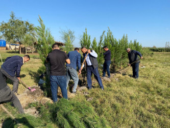 Tərtərdə "Yaşıl dünya naminə həmrəylik ili" çərçivəsində növbəti ağacəkmə aksiyası Mamırlı kəndi ərazisində keçirilib