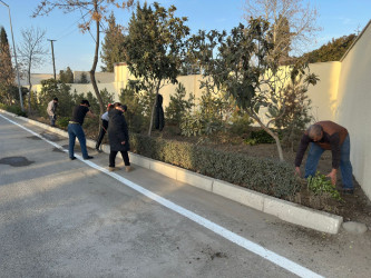 Tərtərdə “Şəhərsalma və Memarlıq İli” çərçivəsində ağacəkmə aksiyası keçirilib