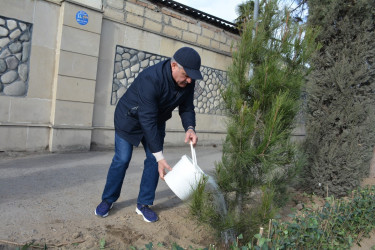 Tərtərin küçələri təmir olunur, M.Ə.Sabir adına park yenidən qurulur