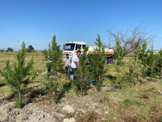 Tərtərdə "Yaşıl dünya naminə həmrəylik ili" çərçivəsində növbəti ağacəkmə aksiyası Mamırlı kəndi ərazisində keçirilib