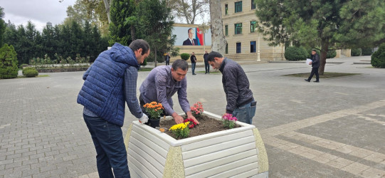 “Konstitusiya və Suverenlik İli” çərçivəsində Tərtərdə Mərkəzi meydanda abadlıq işləri aparılıb