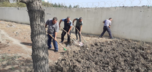 Tərtər şəhəri ərazisində növbəti iməclik aksiyası keçirilib