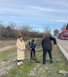 Seydimli kəndində ağacəkmə və təmizlik aksiyası keçirilib