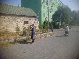 Tərtər şəhəri ərazisində iməclik aksiyası keçirilib