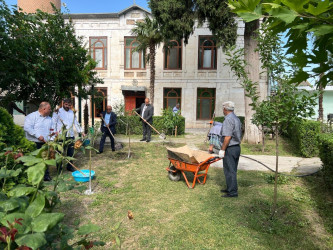 “Yaşıl gələcək naminə” adlı yaşıllaşdırma aksiyası davam etdirilib