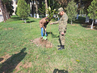 N saylı hərbi hissənin ərazisində Ulu Öndər Heydər Əliyevin 100 illik yubleyi münasibəti ilə  ağacəkmə aksiyası keçirilib