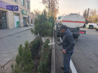 Tərtər şəhəri ərazisində növbəti iməclik aksiyası keçirilib