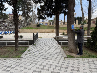 Tərtər rayonunda ictimai yerlərdə və parklarda tütünün sağlamlığa mənfi təsiri barədə təbliğat xarakterli materiallar yerləşdirilib