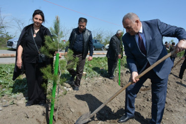 Tərtər rayonunda “Vətən Bağı” adlı ağacəkmə layihəsi həyata keçirilib