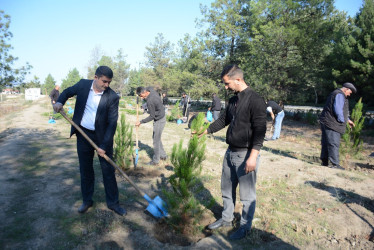 Tərtərdə “Konstitusiya və Suverenlik İli” çərçivəsində 27 sentyabr Anım gününün beşinci ildönümü ilə əlaqədar ağacəkmə aksiyası keçirilib