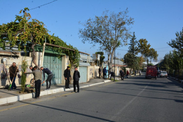 Tərtər Rayon İcra Hakimiyyətinin və YAP rayon təşkilatının birgə təşkilatçılığı ilə “Heydər Əliyev İli” çərçivəsində 8 Noyabr-Zəfər Gününə həsr olunmuş ağacəkmə aksiyası keçirilib