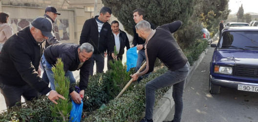 Tərtər şəhəri ərazisində iməclik və ağacəkmə aksiyası keçirilib