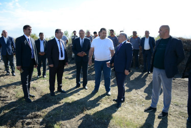 Tərtər rayonunda pambıq yığımına start verilib