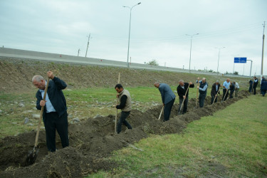 Tərtərdə "Yaşıl dünya naminə həmrəylik ili" çərçivəsində magistral yolların kənarlarında ağacların əkilməsi üçün hazırlıq işləri aparılır