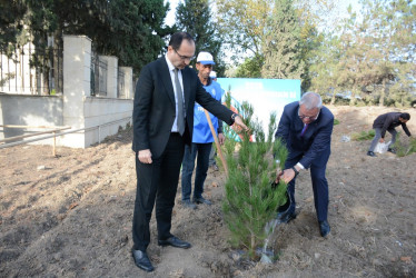 Tərtərdə “Konstitusiya və Suverenlik İli” çərçivəsində 8 Noyabr Zəfər Gününün beşinci ildönümü ilə əlaqədar ağacəkmə aksiyası keçirilib