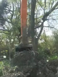 İsmayılbəyli kənd sakinlərinin müraciəti həll olunub