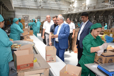 Tərtər Rayon İcra Hakimiyyətinin başçısı Xoruzlu kəndində "PATRON" MMC-yə məxsus günəbaxan tumlarının emalı müəssisəsi ilə tanış olub