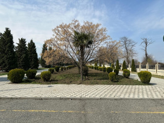 Tərtər şəhəri ərazisində iməclik aksiyası keçirilib