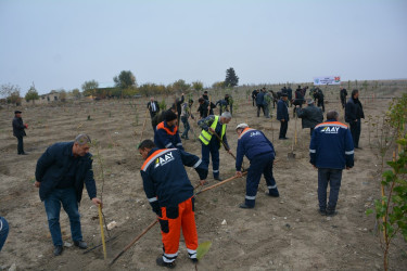 Yeni Azərbaycan Partiyasının təsis edilməsinin  30 illiyi ilə əlaqədar Tərtərdə  ağacəkmə aksiyası keçirilib