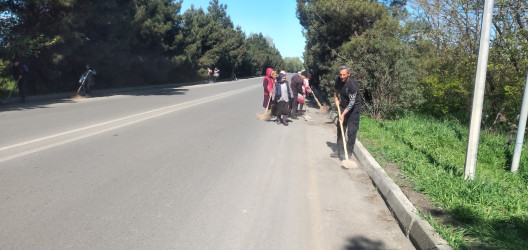 Tərtər şəhəri ərazisində iməclik aksiyası keçirilib