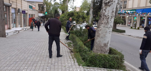 Tərtər şəhəri ərazisində iməclik aksiyası keçirilib