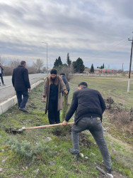 Seydimli kəndində ağacəkmə və təmizlik aksiyası keçirilib