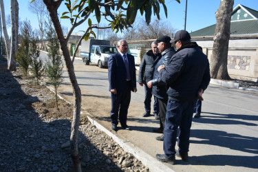 Tərtərdə “Heydər Əliyev ili” çərçivəsində ilk ağacəkmə aksiyası keçirilib