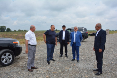 Tərtər Rayon İcra Hakimiyyətinin başçısı "Tərtər 1" MMC-nin intensiv meyvə bağları və müasir suvarma infrastrukturu ilə tanış olub
