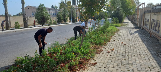 Tərtərdə “Yaşıl dünya naminə həmrəylik ili” çərçivəsində növbəti iməcilik keçirilib