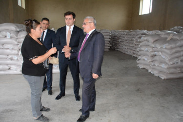 İcra başçısı Tərtər Bölgə Təcrübə Stansiyasında görülən işlərə baxış keçirib