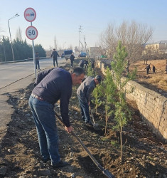 Tərtər şəhəri ərazisində növbəti iməclik aksiyası keçirilib