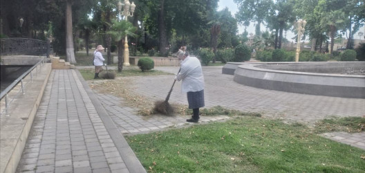 Tərtər şəhəri ərazisində iməclik aksiyası keçirilib