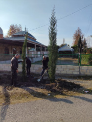 Tərtərdə Ulu Öndər Heydər Əliyevin anım günü ilə əlaqədar ağacəkmə aksiyası keçirilib