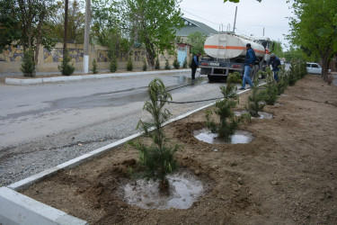 “Heydər Əliyev ili” çərçivəsində Tərtərdə növbəti ağacəkmə aksiyası keçirilib