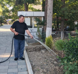 Tərtər şəhəri ərazisində iməclik aksiyası keçirilib