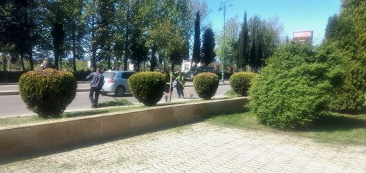 Tərtər şəhəri ərazisində abadlıq və təmizlik işləri görülüb
